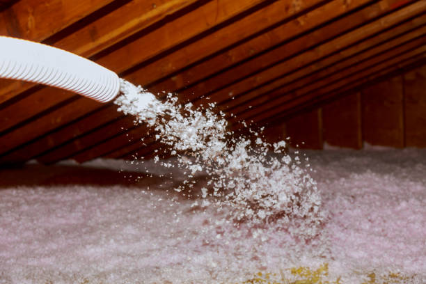 Professional Insulation Contractor in Berwyn Heights, MD