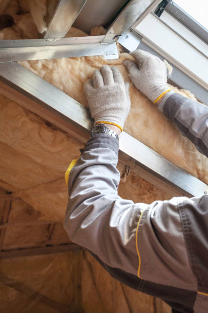 Best Energy Efficiency Insulation in Berwyn Heights, MD