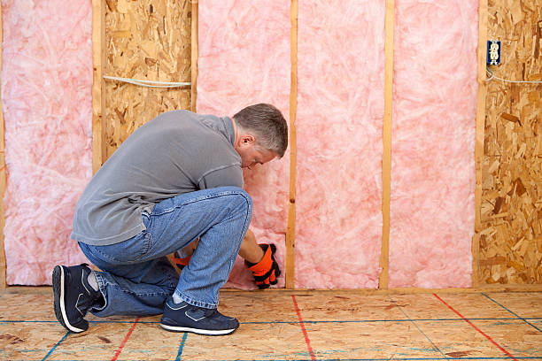 Best Cellulose Insulation in Berwyn Heights, MD