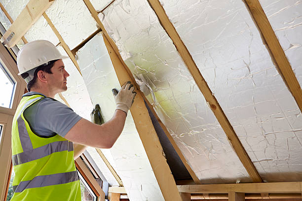 Best Residential Insulation in Berwyn Heights, MD